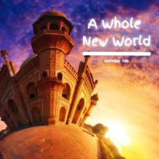 VIP - A Whole New World