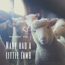 瑪莉有隻小綿羊