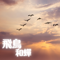 圖片 1