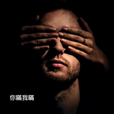 VIP - 你瞞我瞞 - 陳柏宇