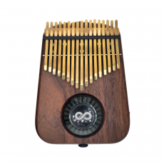 金光黑胡桃木 - 動態聲音感應LED板式17音 (限量版)