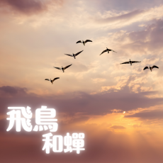 VIP - 飛鳥和蟬 - 任然
